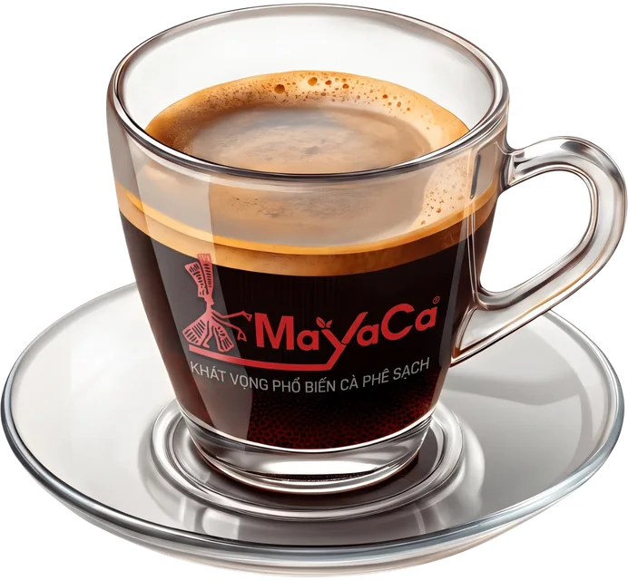 Espresso pha từ cà phê M4